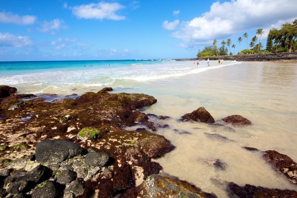Photo of Others in Poipu