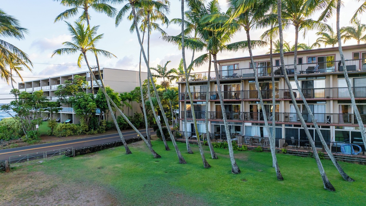Photo of Outdoor in Poipu