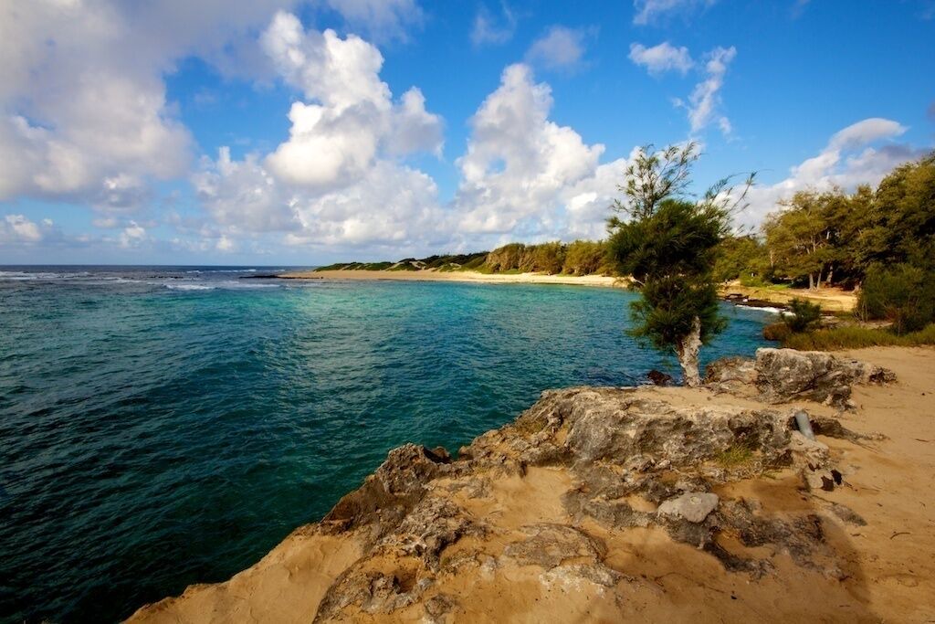 Photo of Others in Poipu