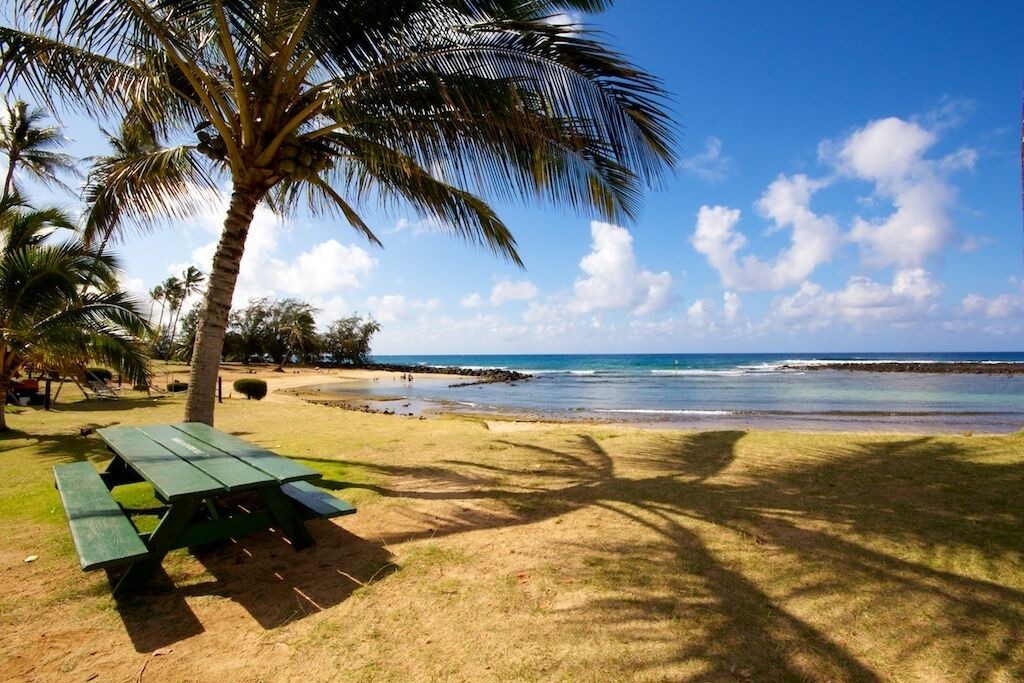 Photo of Others in Poipu