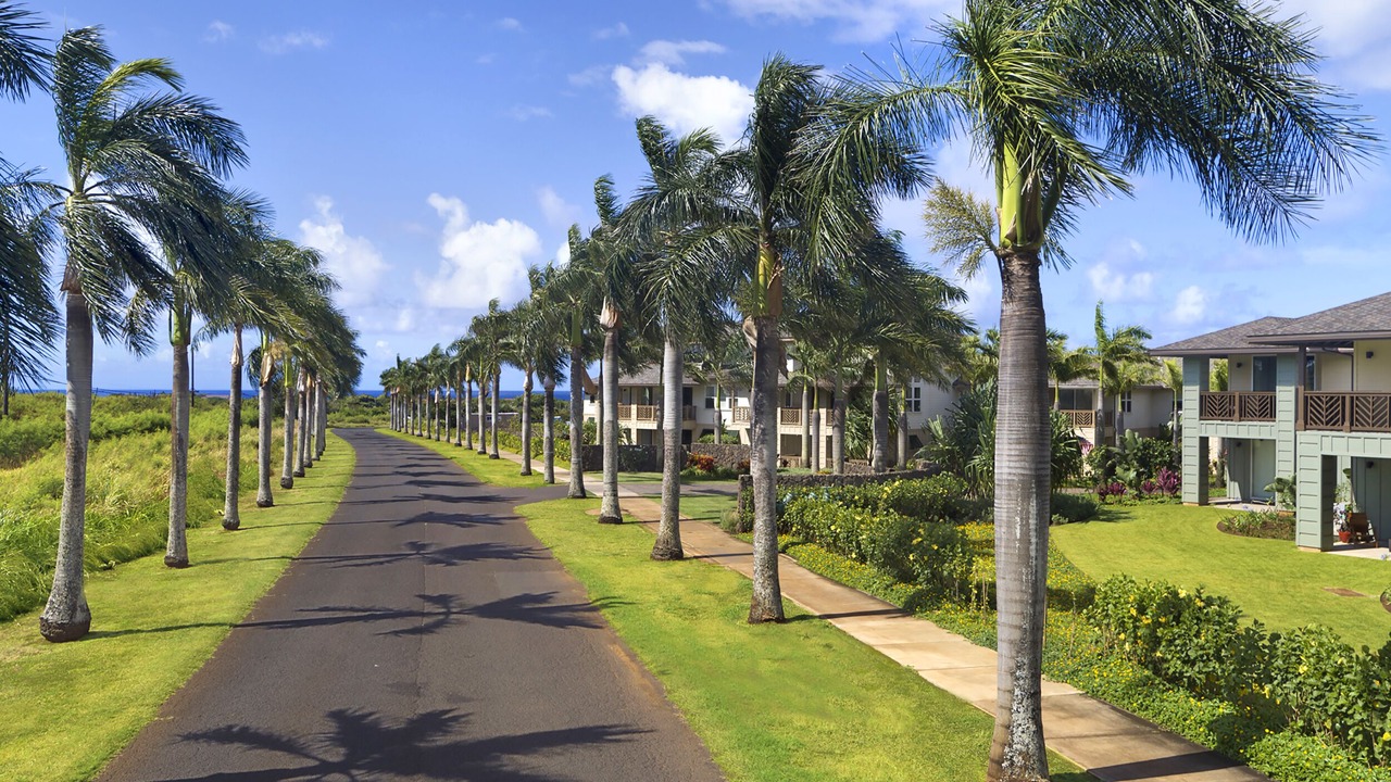 Photo of Others in Poipu