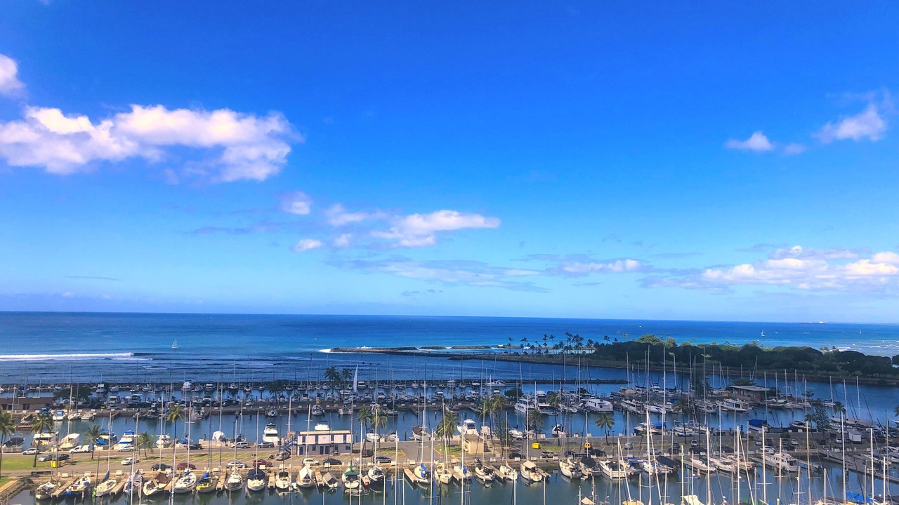 Photo of Others in Waikiki