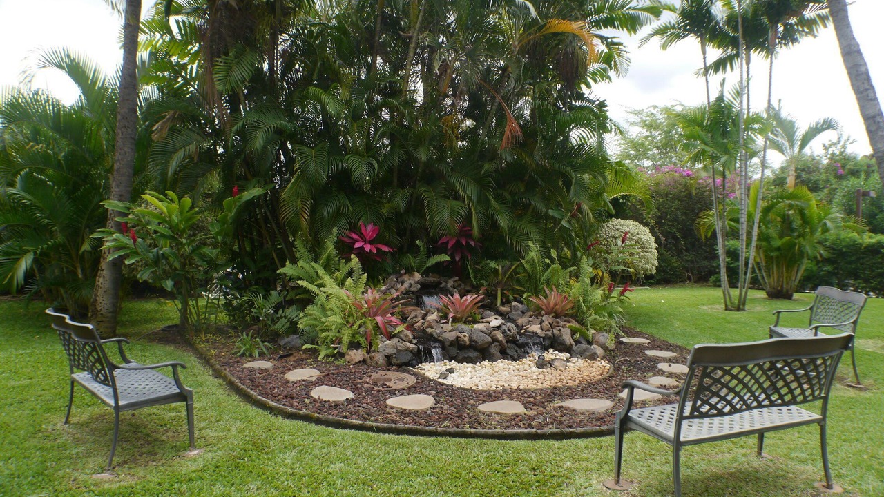 Photo of Others in Kihei
