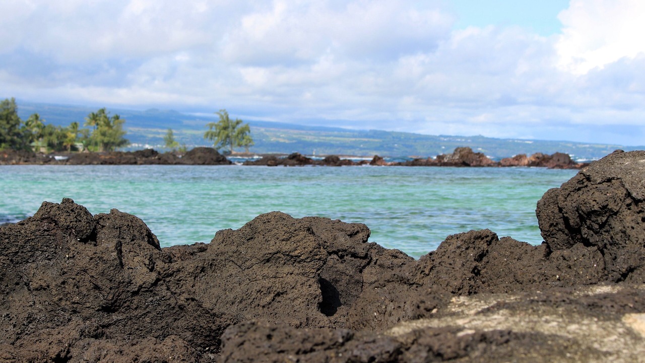 Photo of Others in Hilo