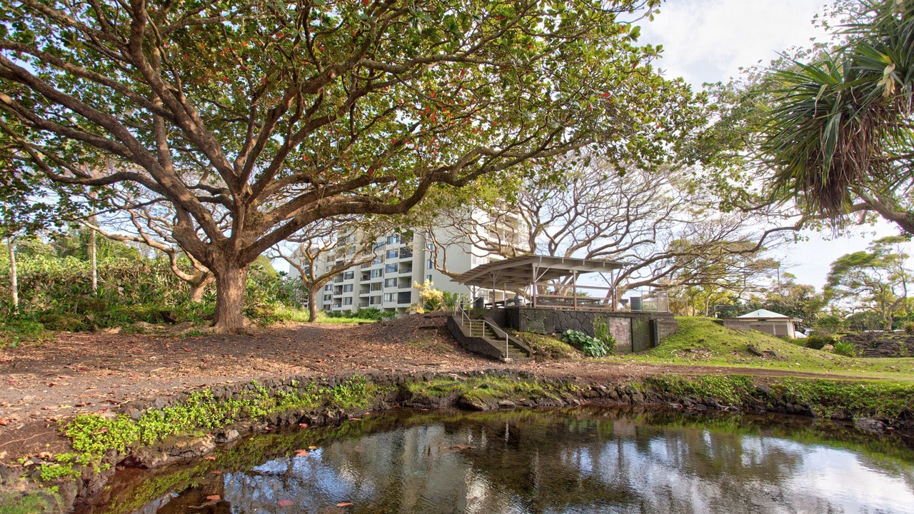Photo of Others in Hilo