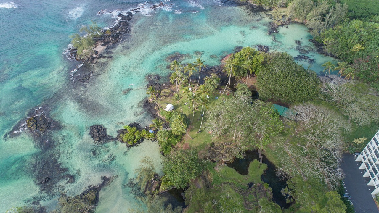 Photo of Others in Hilo