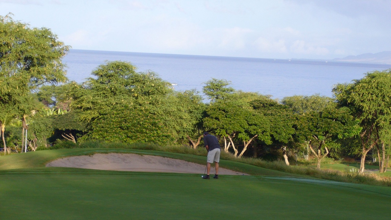 Photo of Others in Wailea