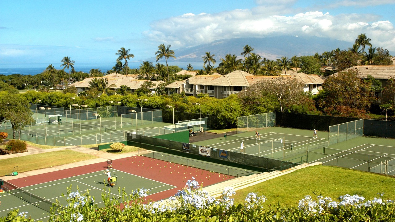 Photo of Others in Wailea