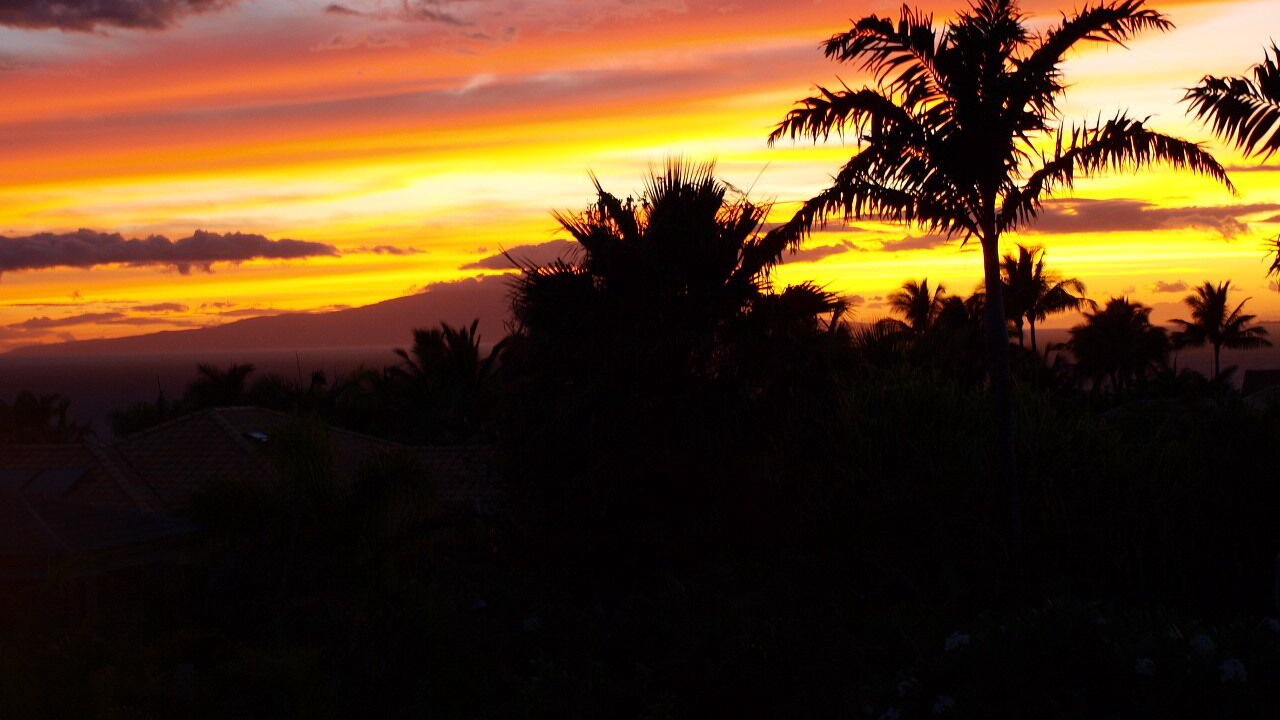 Photo of Others in Wailea