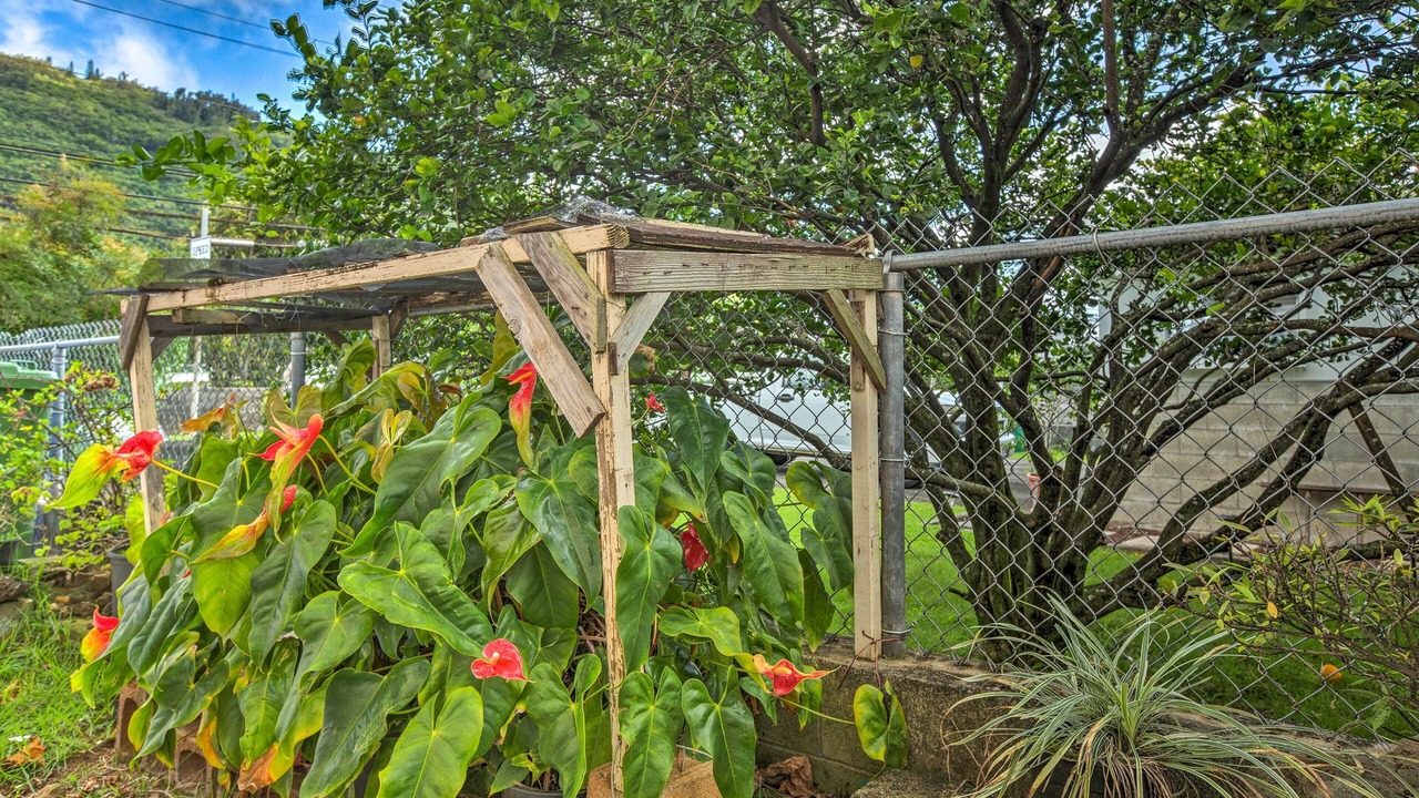 Photo of Others in Manoa