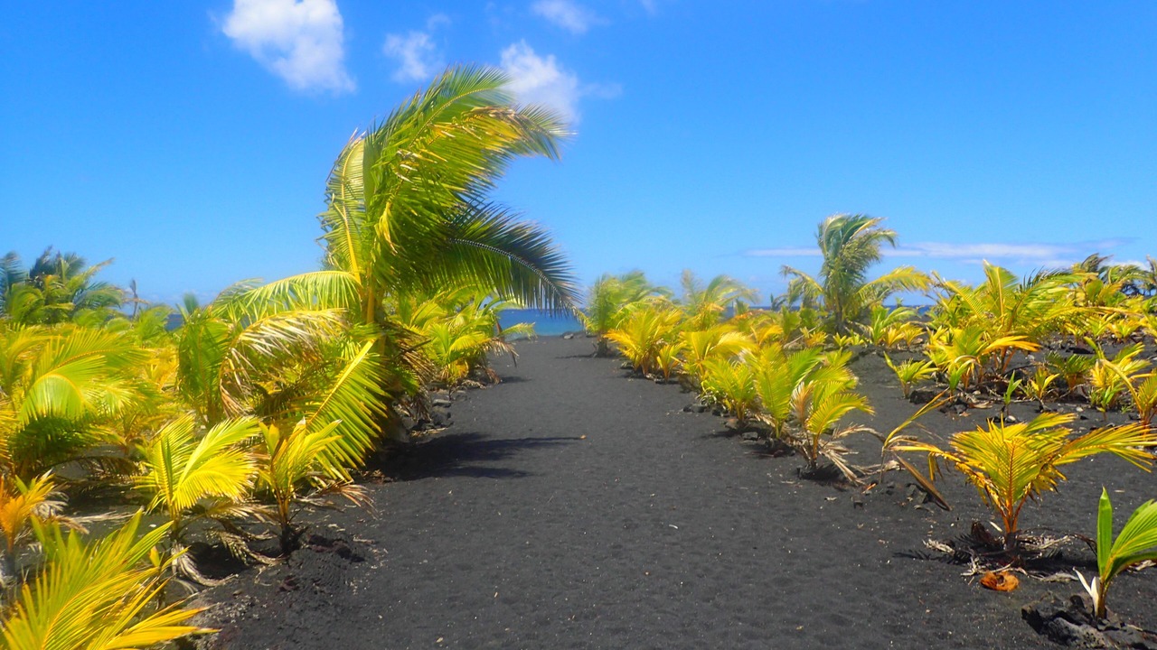 Photo of Others in Kalapana