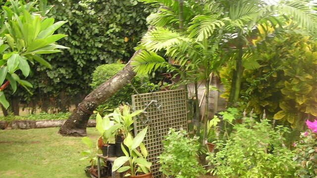 Photo of Outdoor in Lanikai