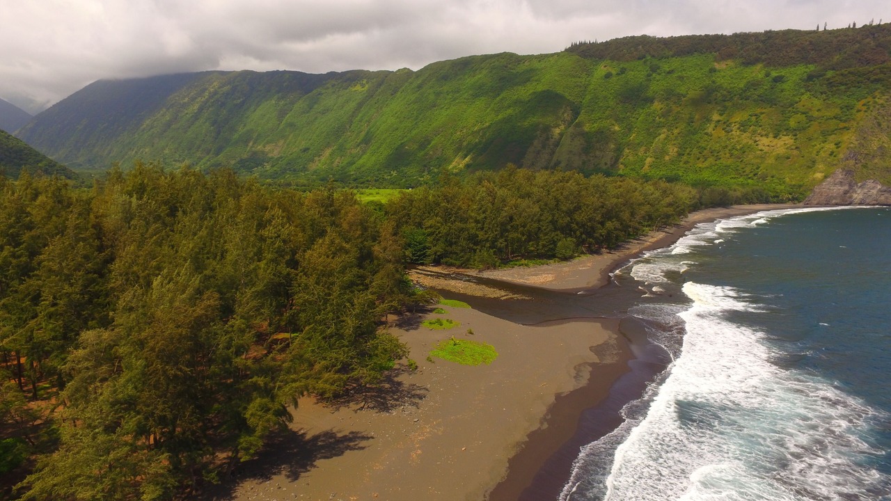 Photo of Others in Waipio