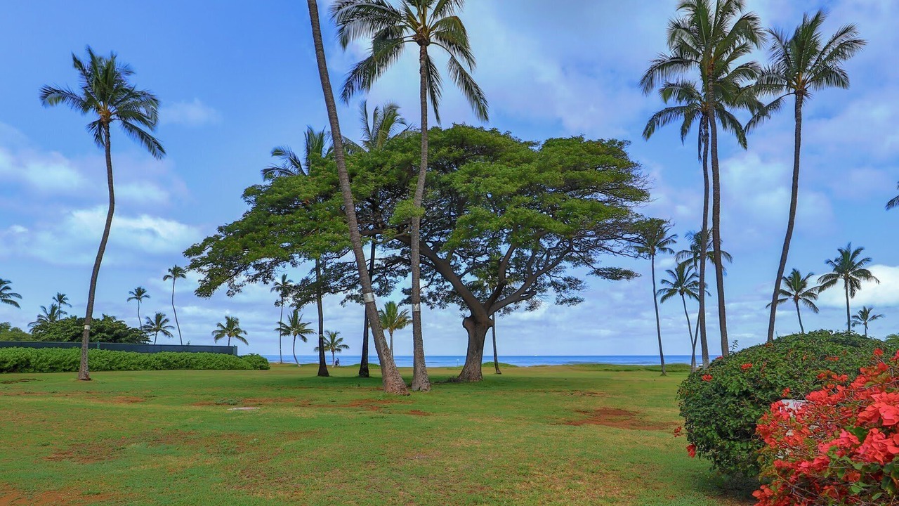 Photo of Outdoor in Kihei