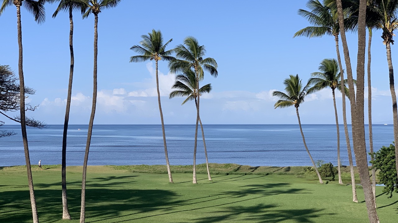 Photo of Others in Kihei