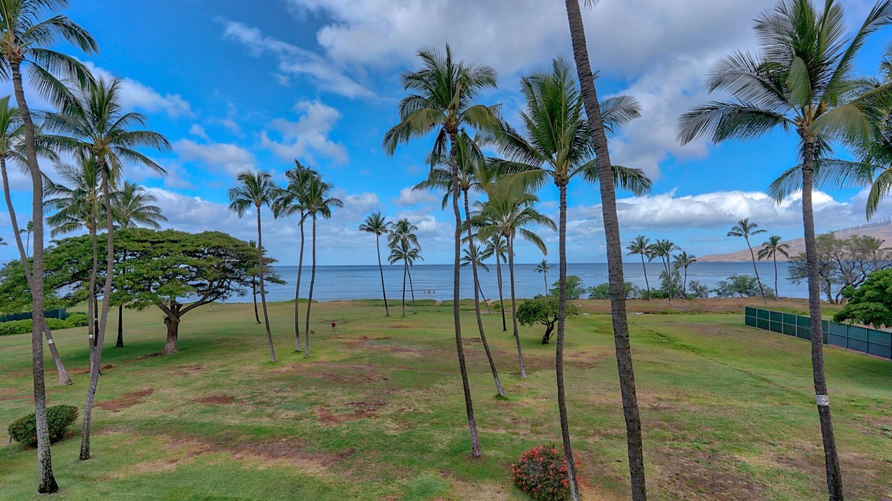 Photo of Outdoor in Kihei