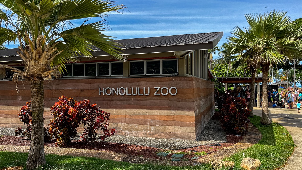 Photo of Outdoor in Kahala