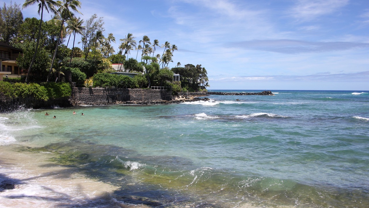 Photo of Others in Kahala