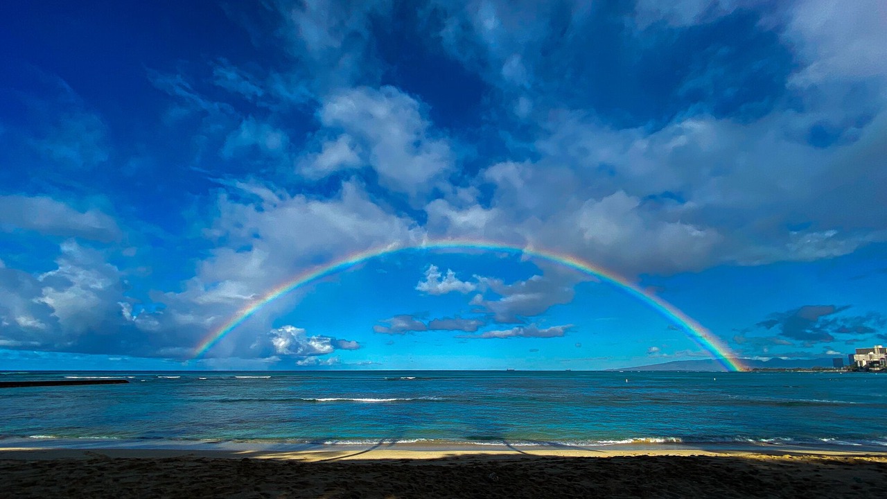 Photo of Others in Kahala