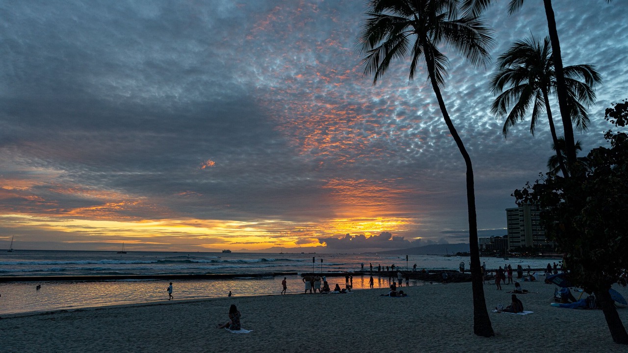 Photo of Others in Kahala
