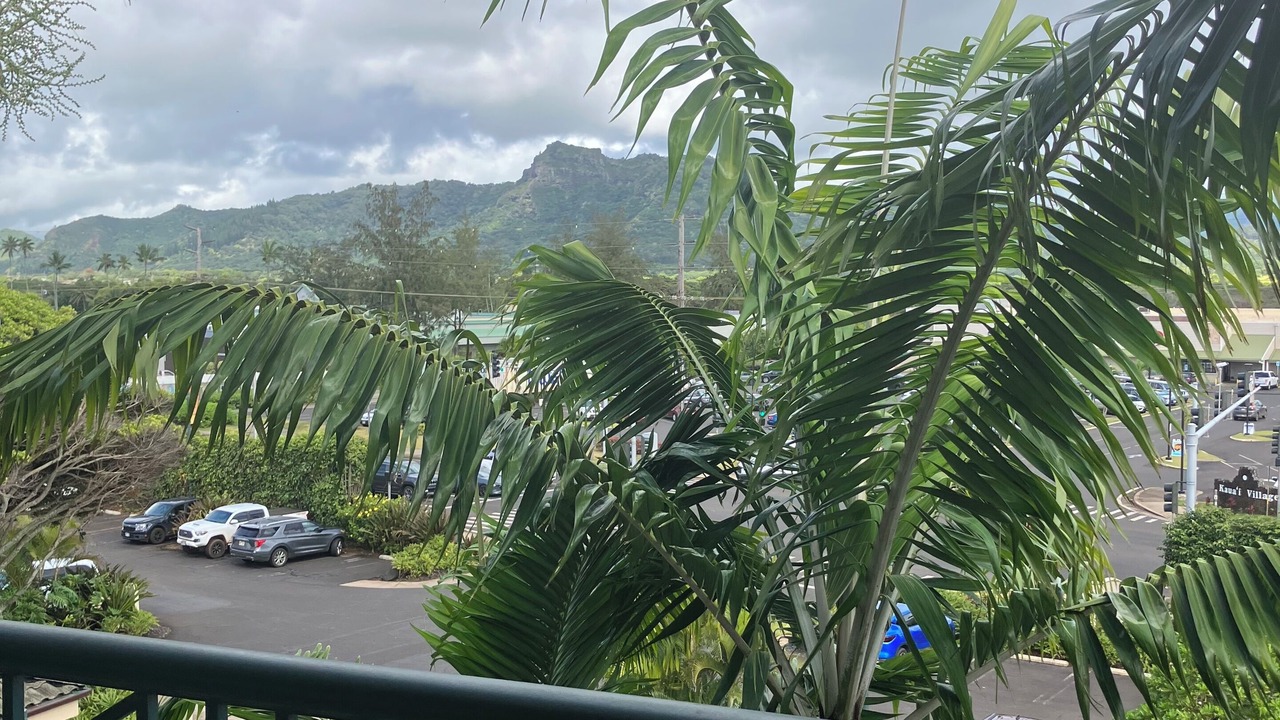 Photo of Outdoor in Wailua
