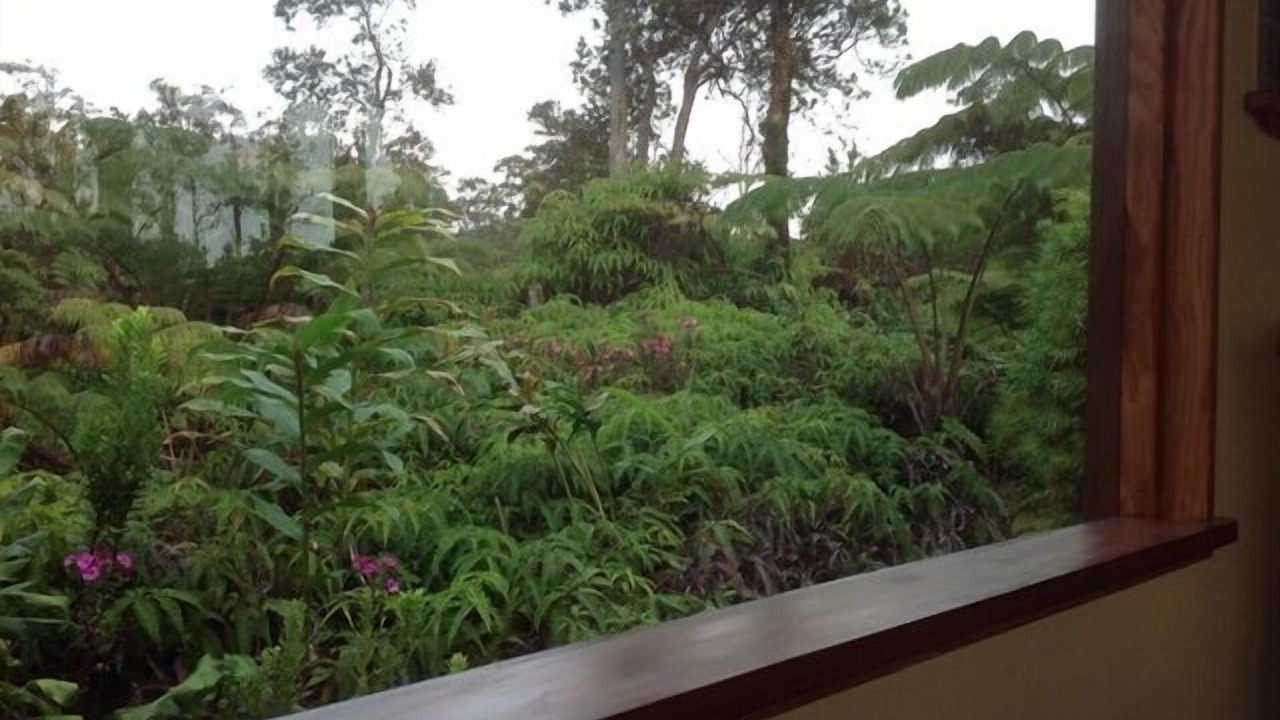 Photo of Bedroom in Volcano