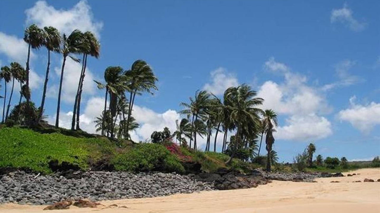 Photo of Others in Maunaloa