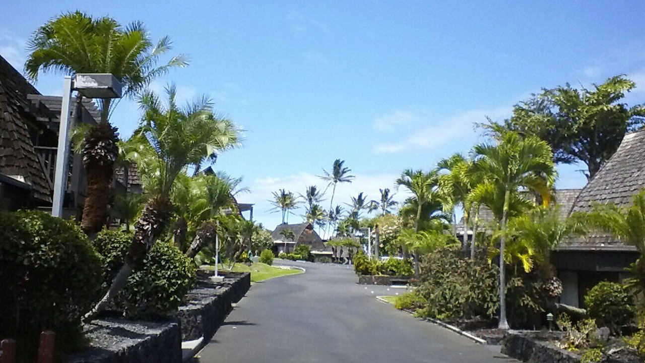 Photo of Outdoor in Punaluu