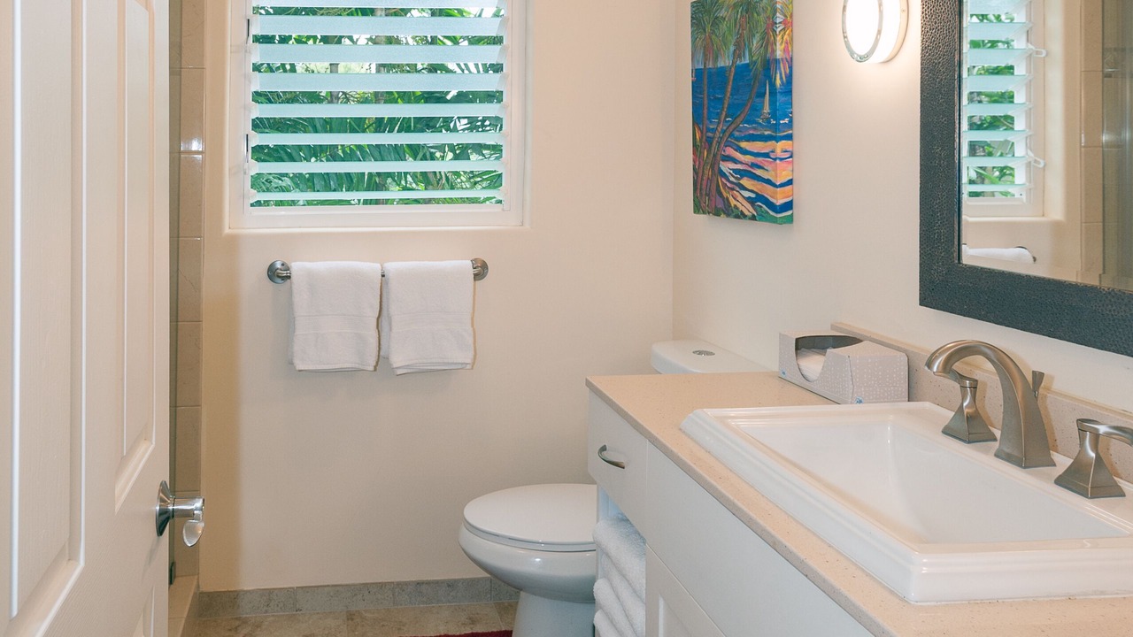 Photo of Bathroom in Princeville