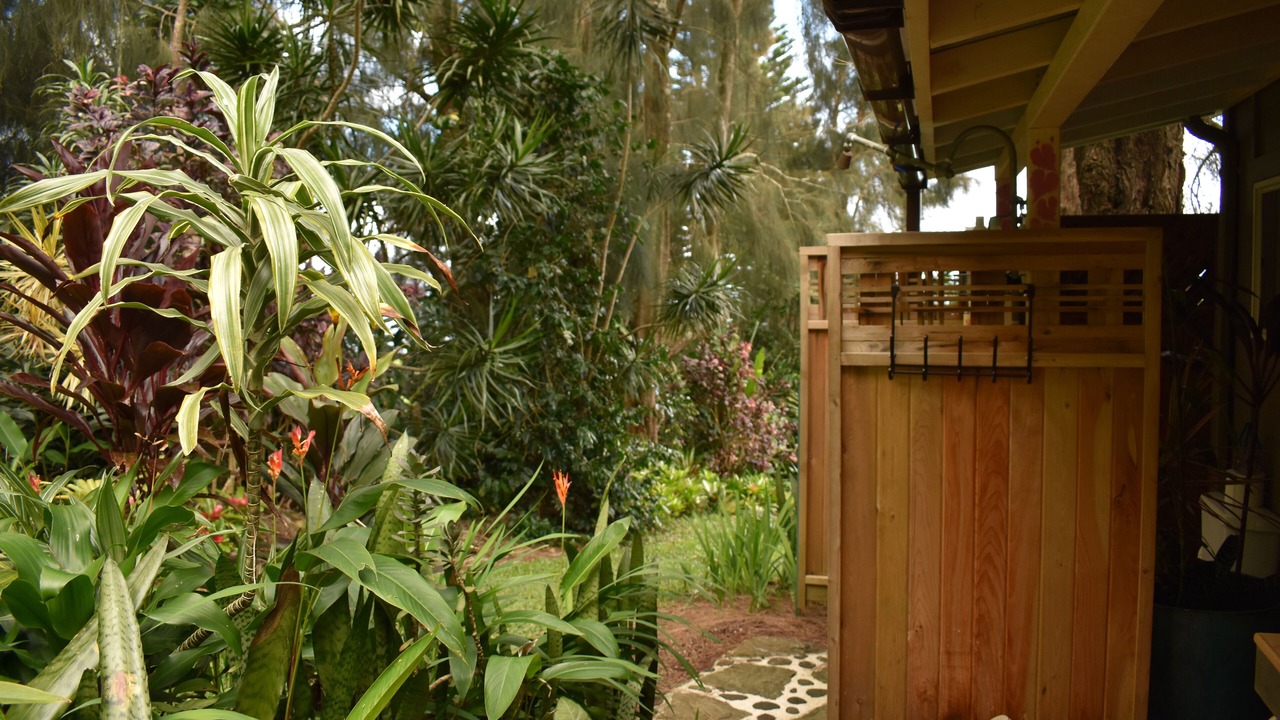 Photo of Bathroom in Hawi