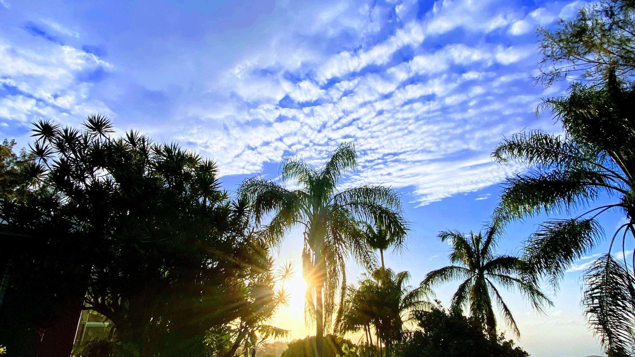 Photo of Others in Hawi