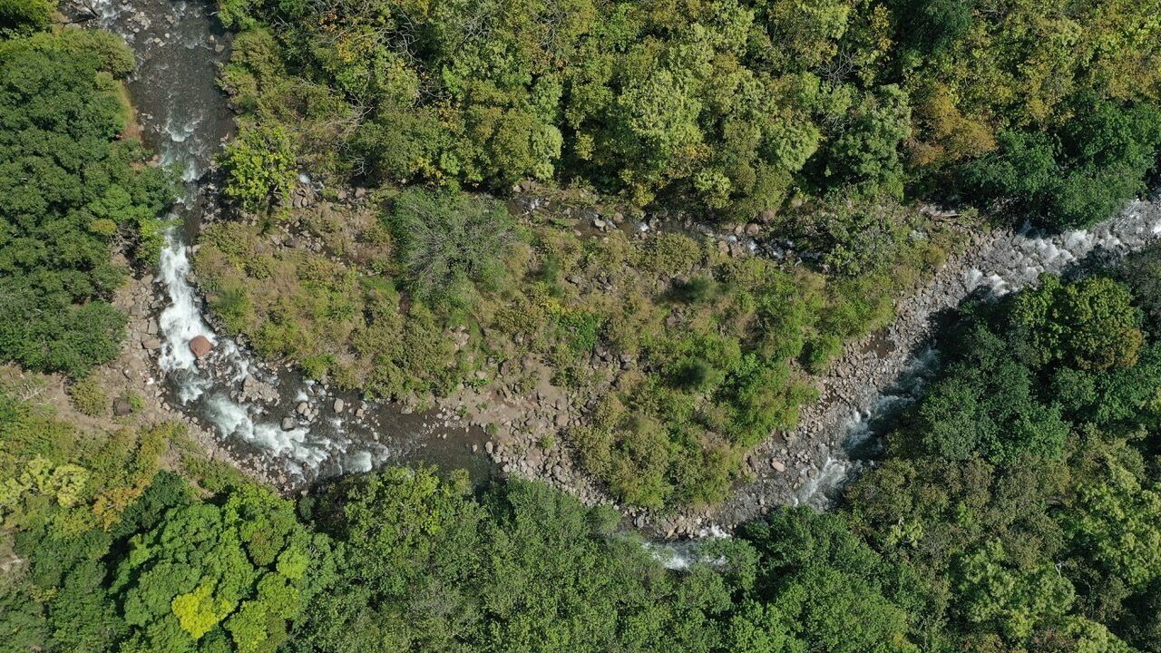 Photo of Others in Waihee-Waiehu