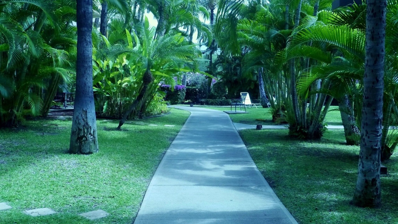 Photo of Outdoor in Kihei