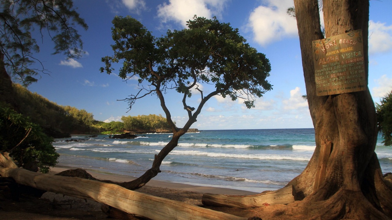 Photo of Others in Hana