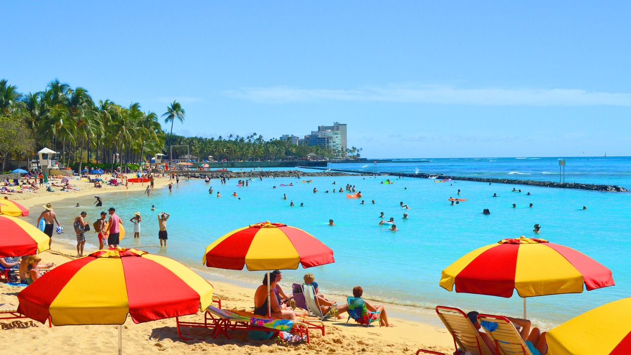 Photo of Others in Waikiki