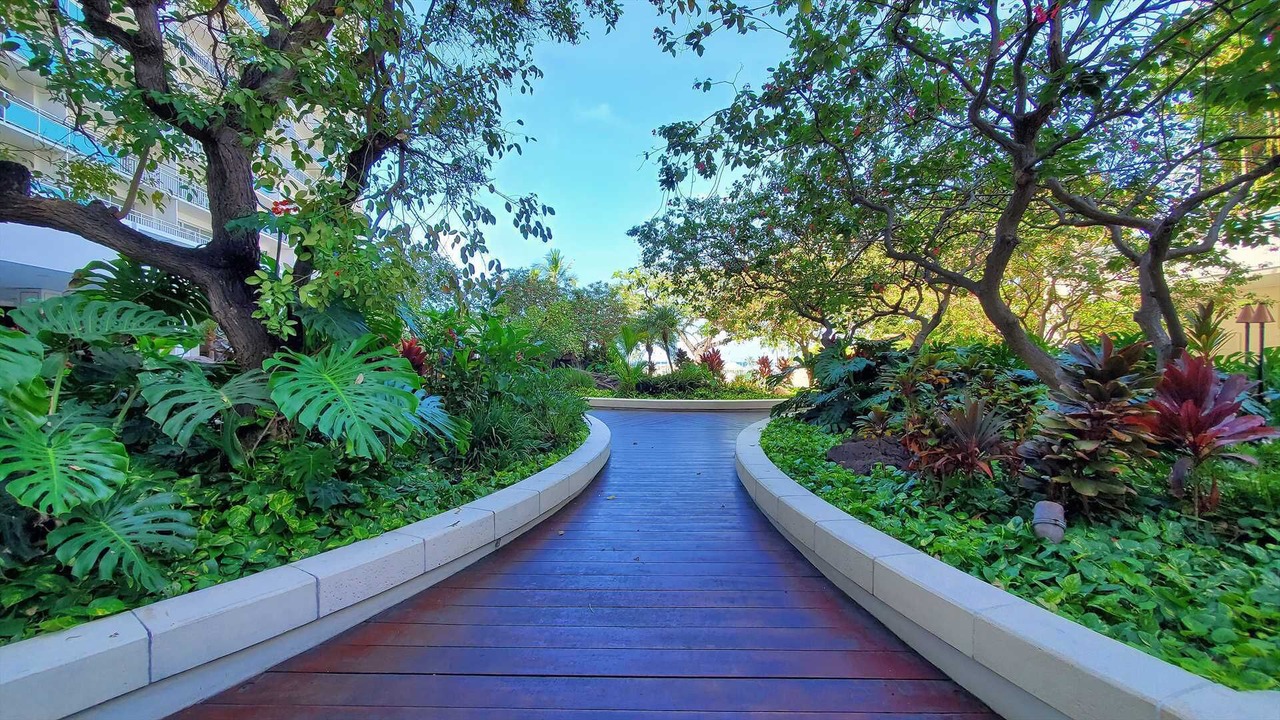Photo of Outdoor in Waikiki
