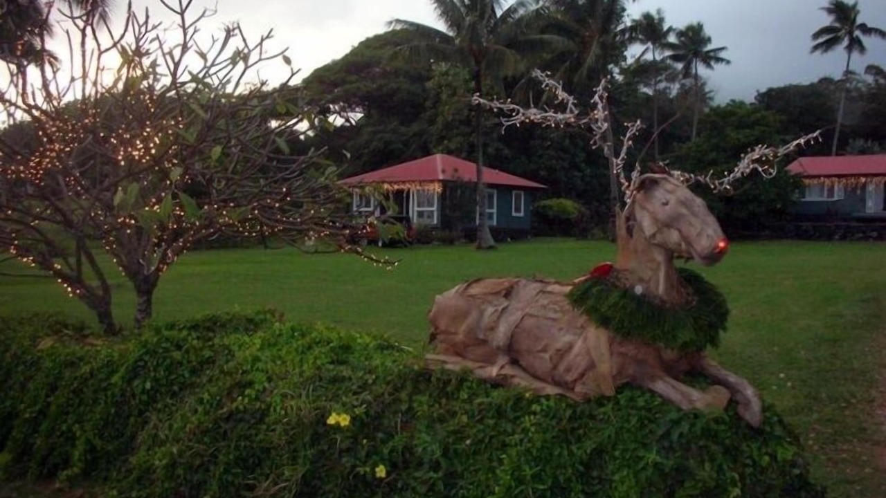 Photo of Others in Hana