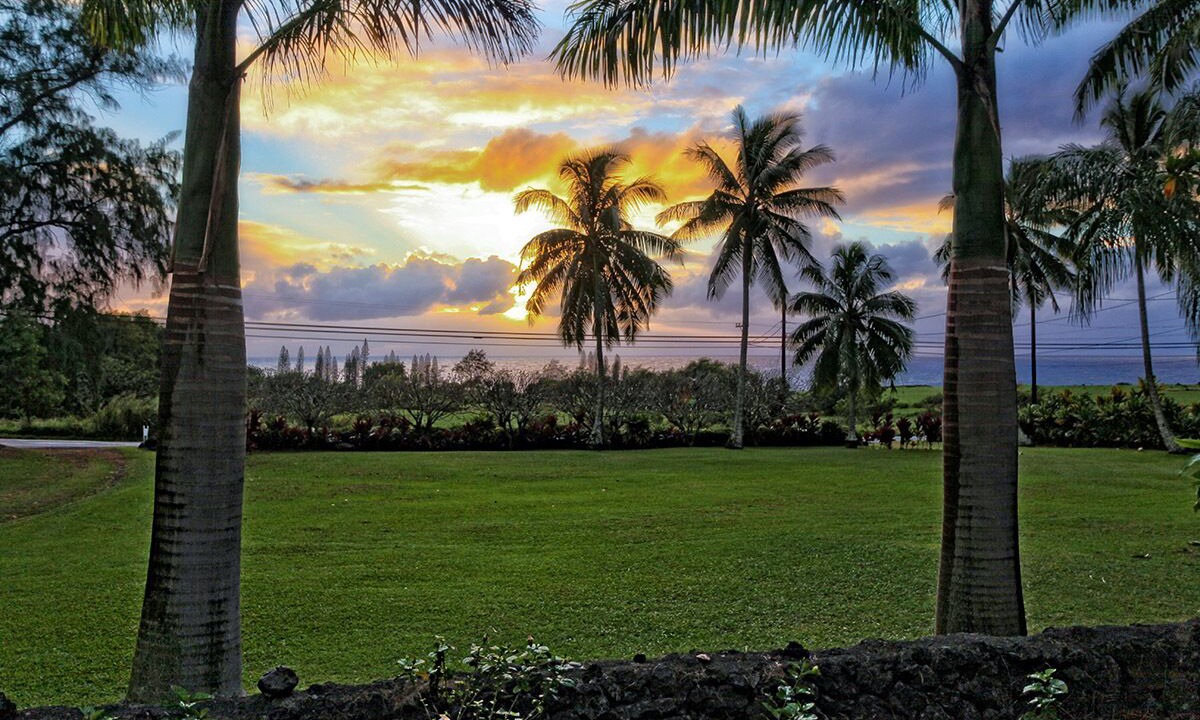 Photo of Outdoor in Hana