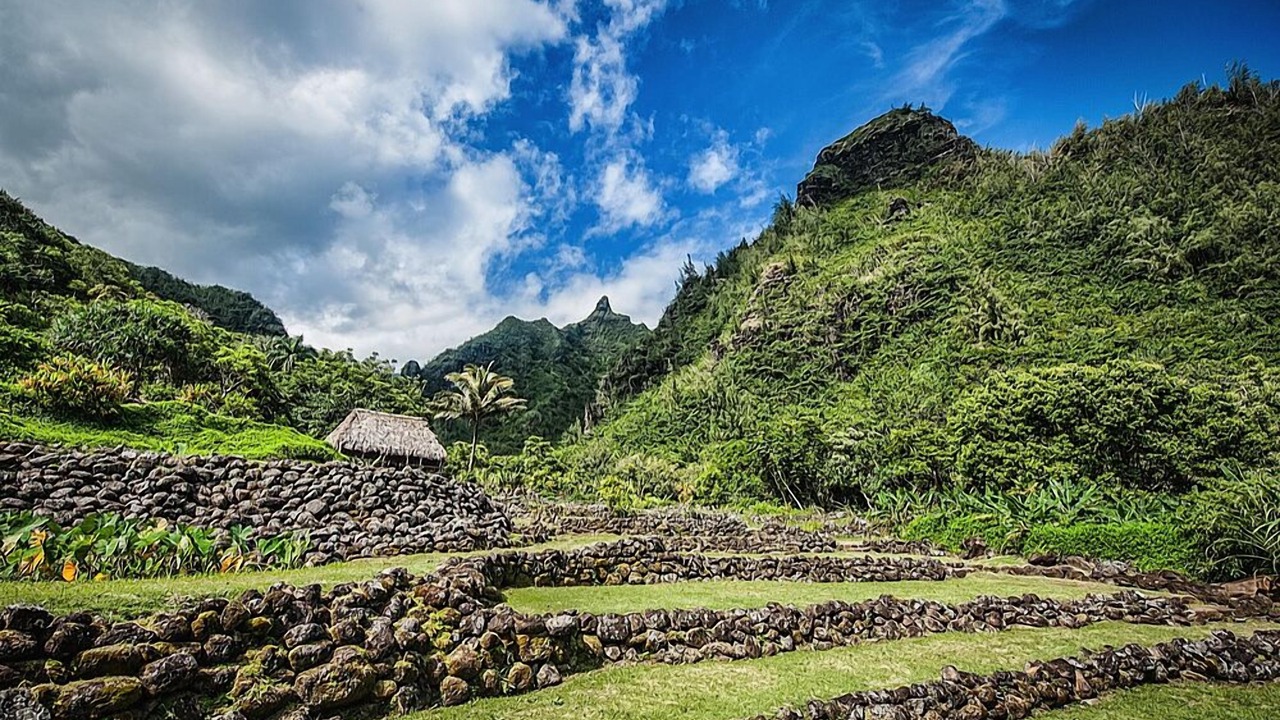 Photo of Outdoor in Wainiha