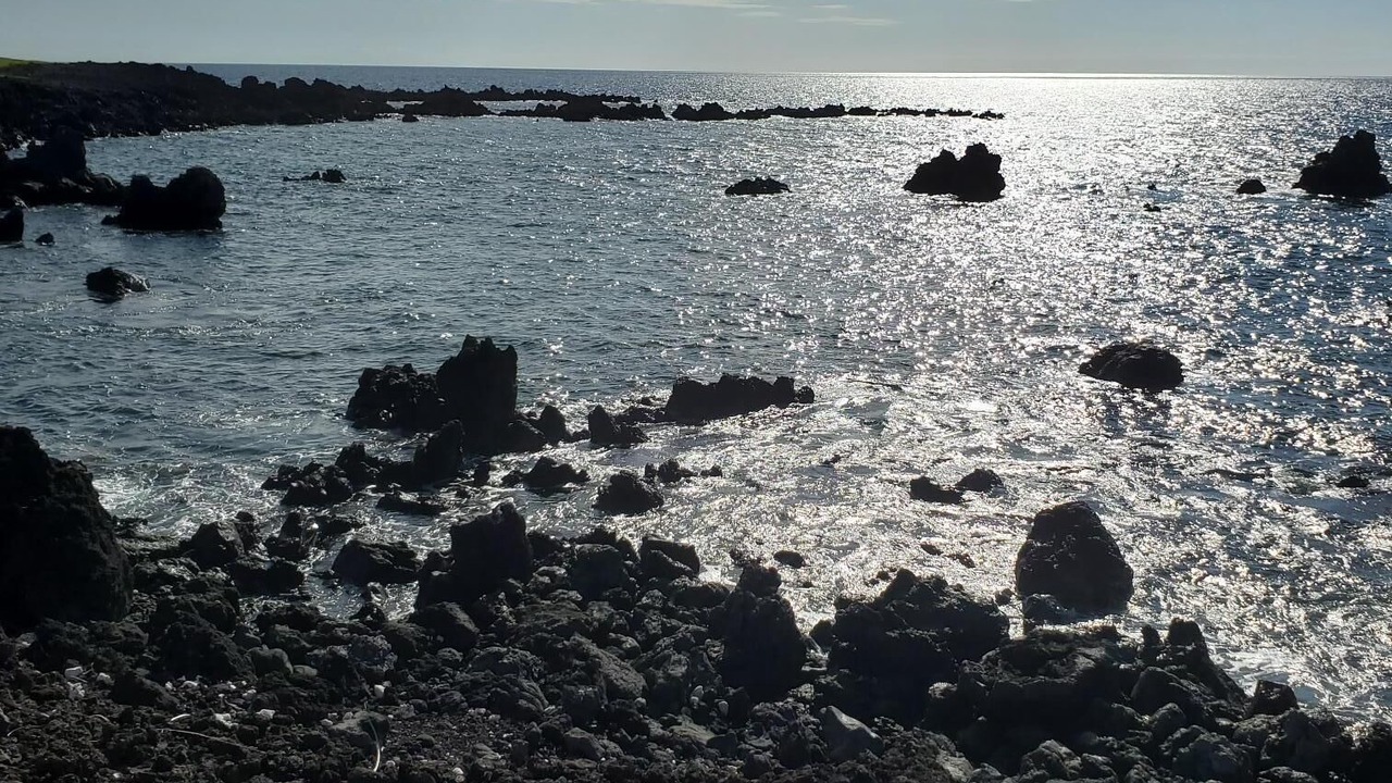 Photo of Others in Kamuela