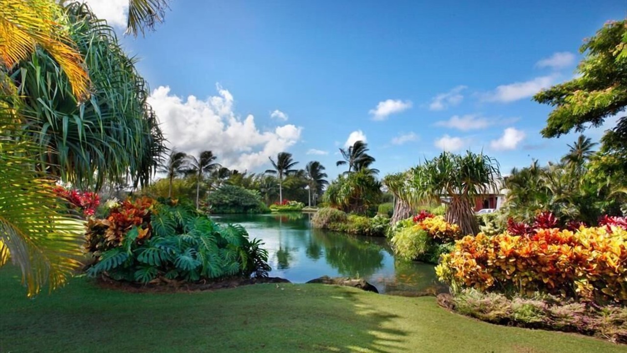 Photo of Others in Poipu
