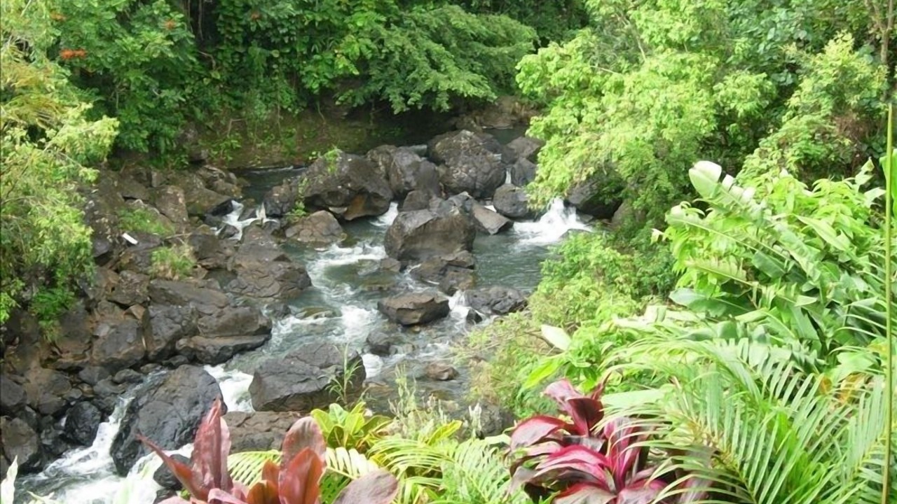 Photo of Others in Kilauea