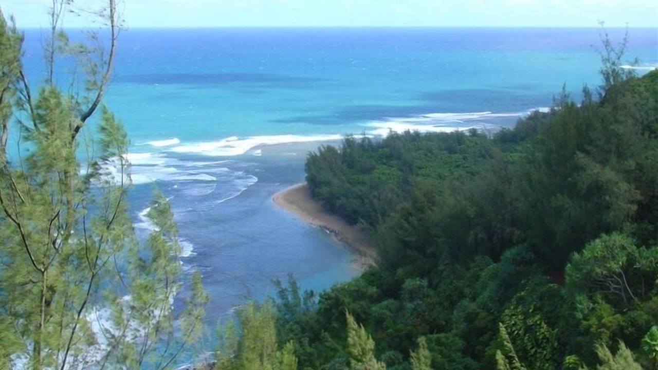 Photo of Others in Kilauea