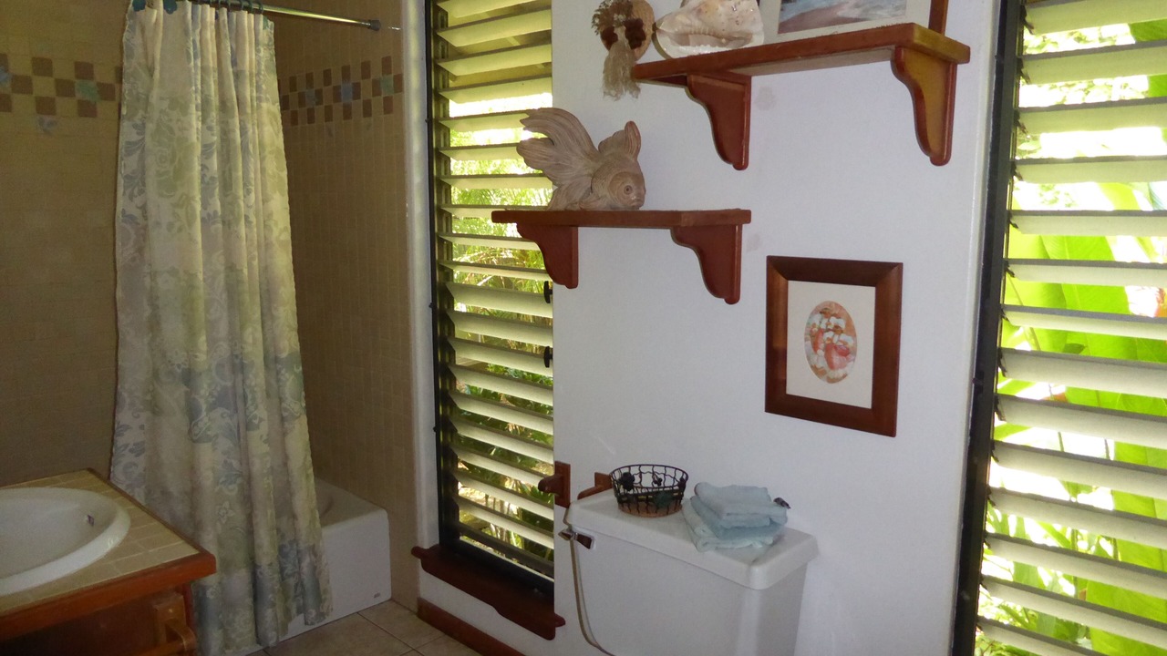 Photo of Bathroom in Kilauea