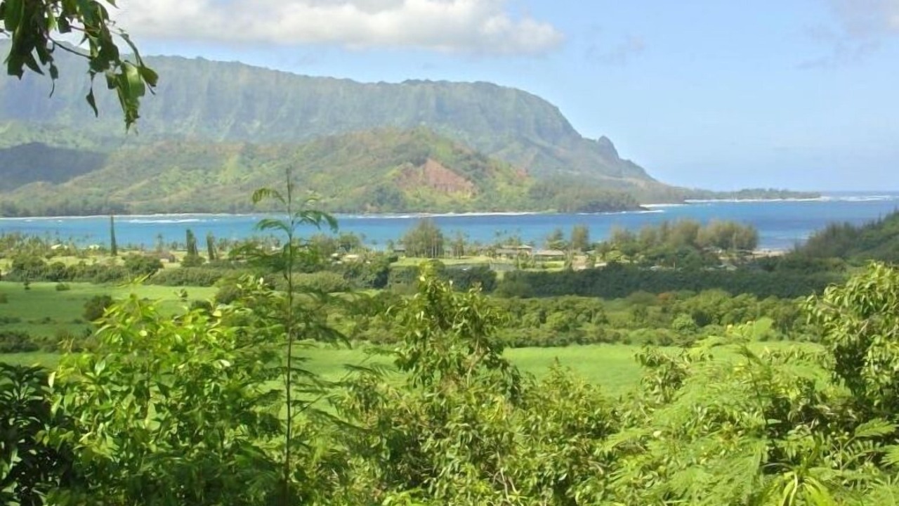 Photo of Others in Kilauea