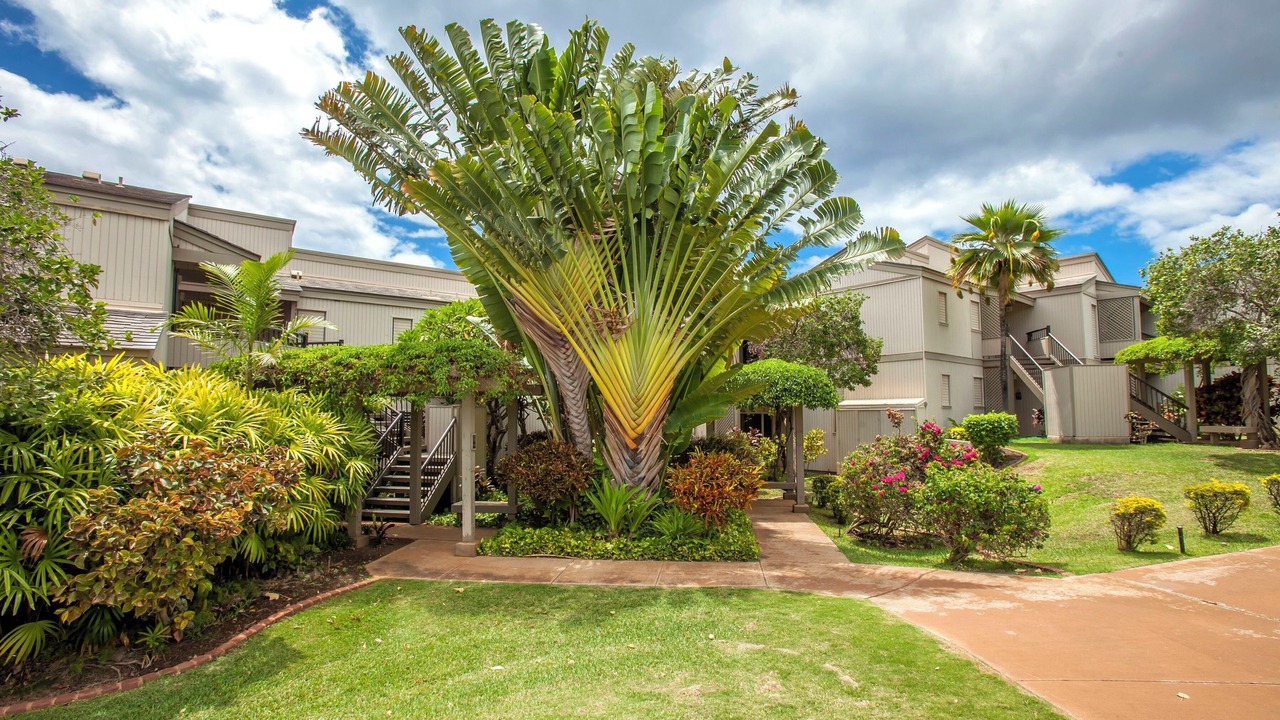 Photo of Outdoor in Wailea