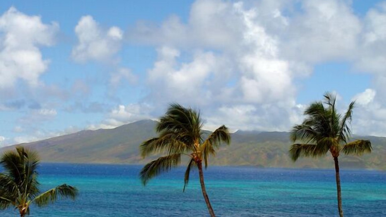 Photo of Others in Kahana