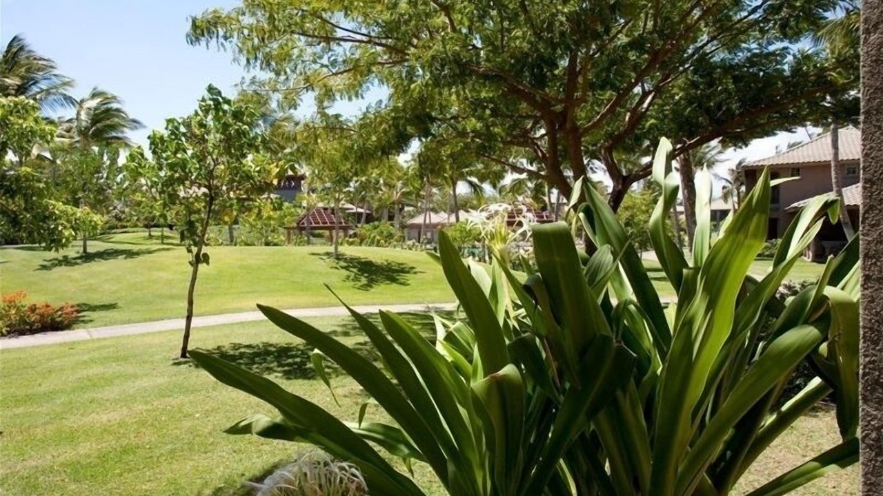 Photo of Outdoor in Kamuela