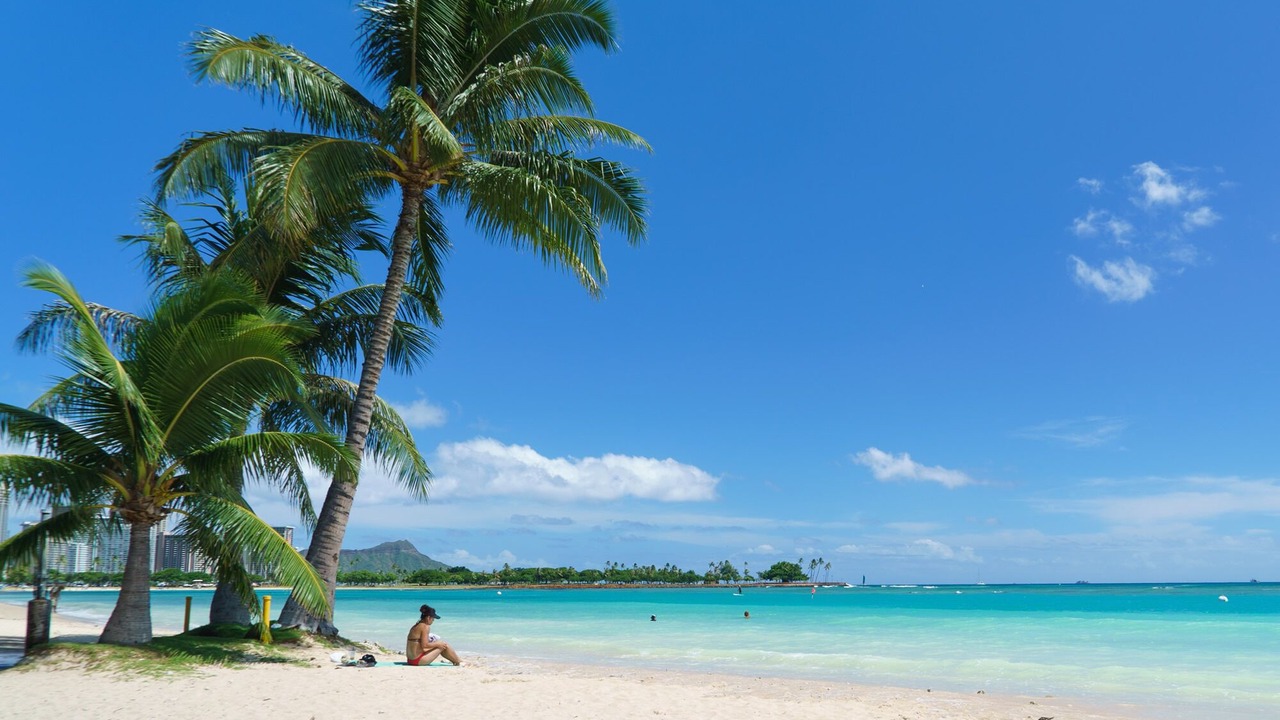 Photo of Others in Ala Moana