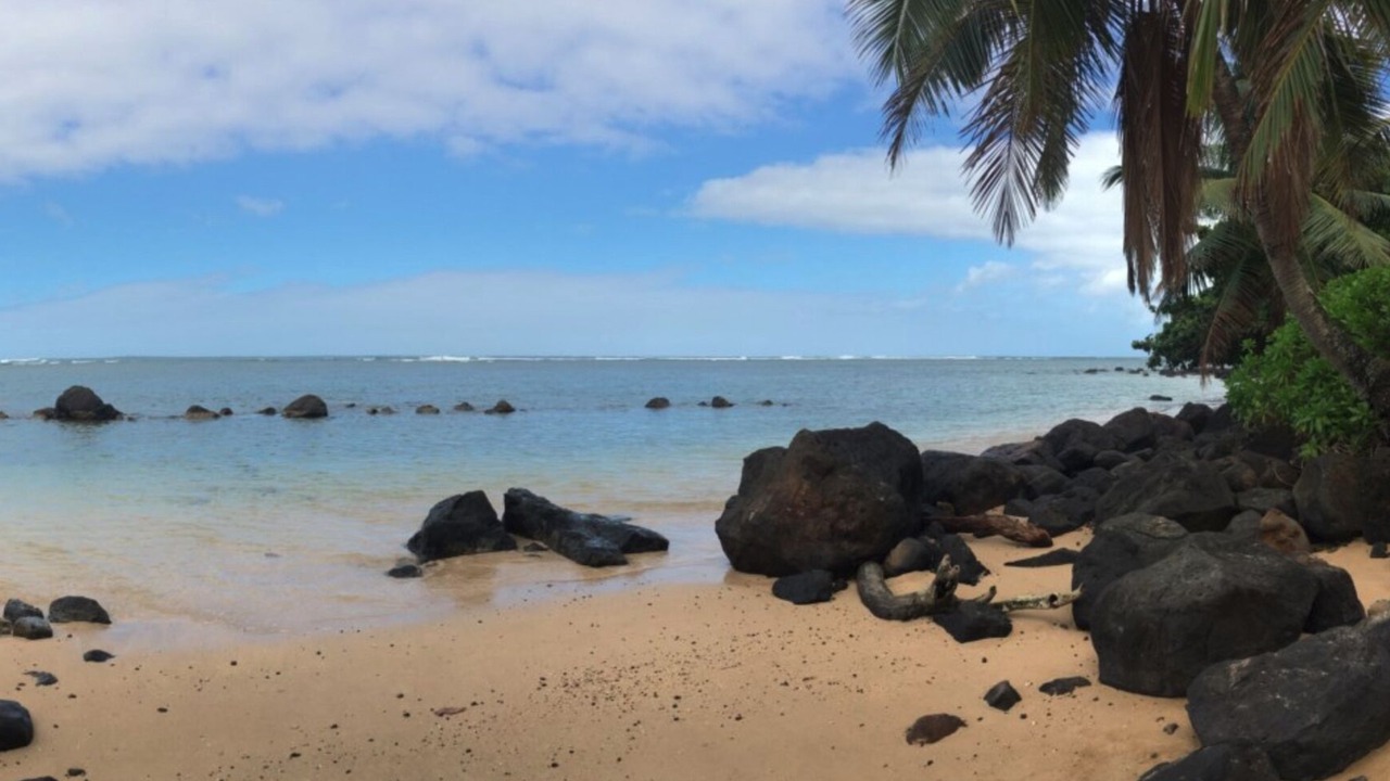 Photo of Others in Hanalei